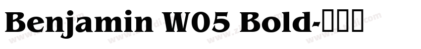 Benjamin W05 Bold字体转换